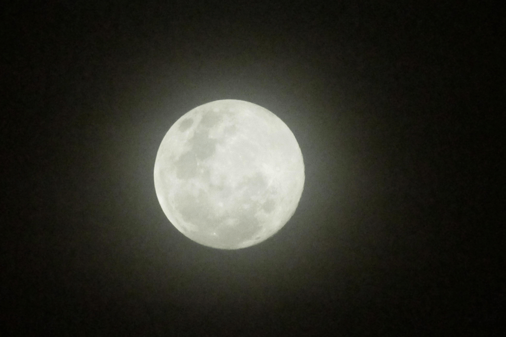 Fases da Lua para Plantar