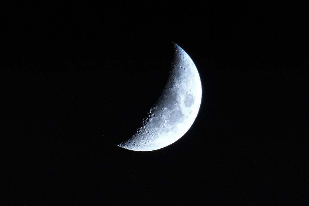 Fases da Lua para Plantar