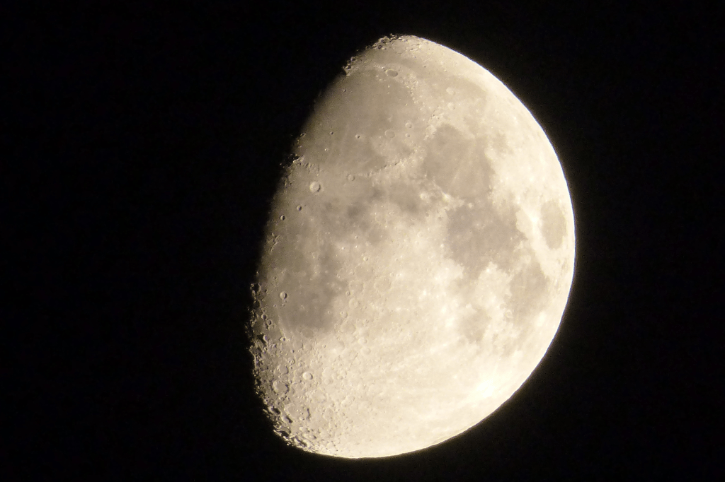 Fases da Lua para Plantar