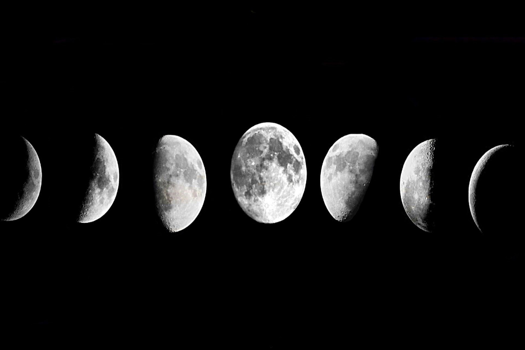 Fases da Lua para Plantar