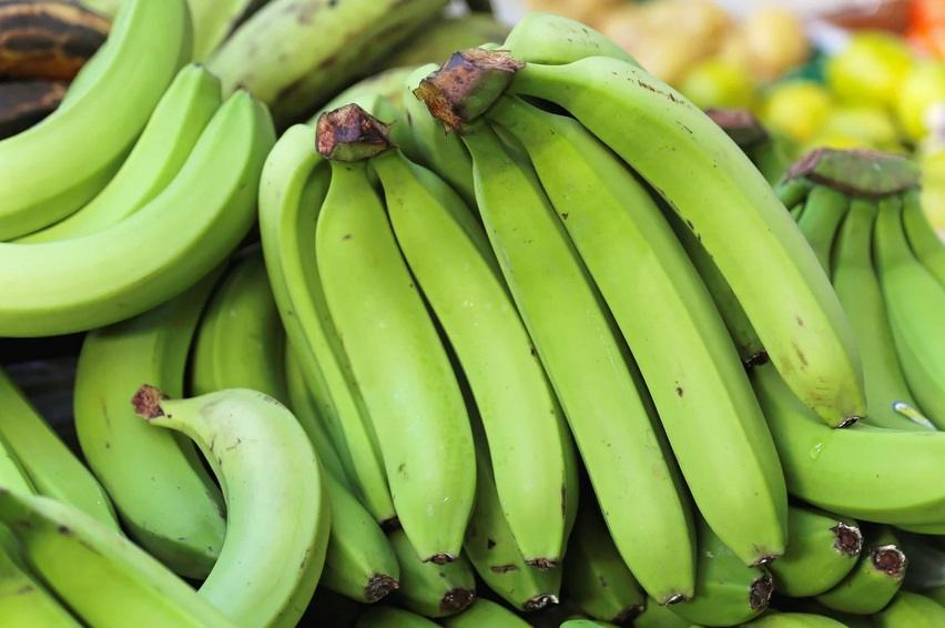 Qual os benefícios da banana verde