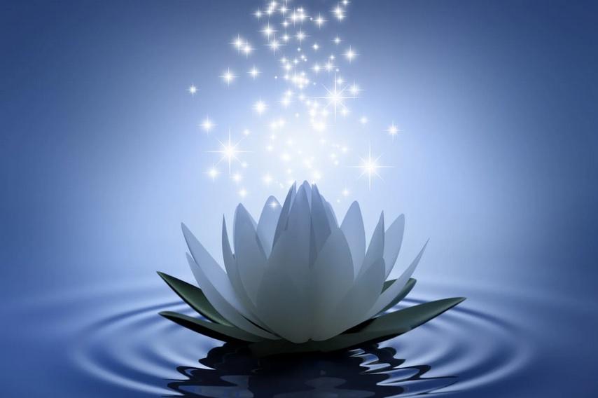 Significado Flor de Lótus Espiritual