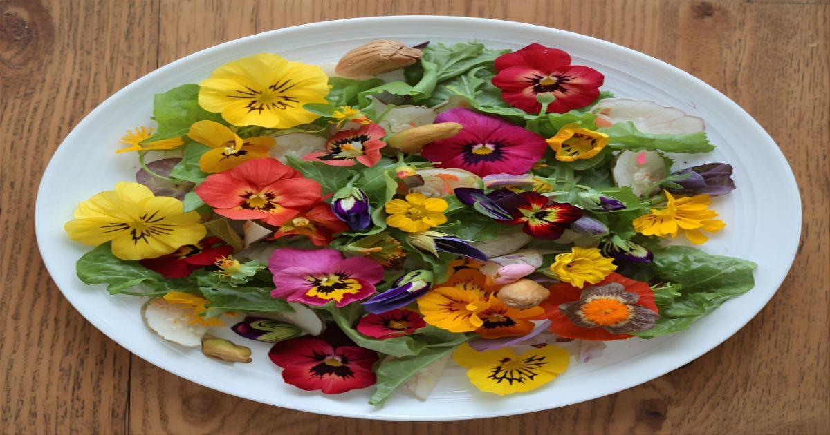 Flores Comestíveis